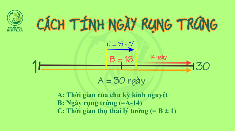 CÁCH TÍNH NGÀY RỤNG TRỨNG?