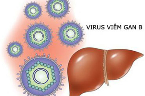 VIÊM GAN SIÊU VI B - VIÊM GAN SIÊU VI C