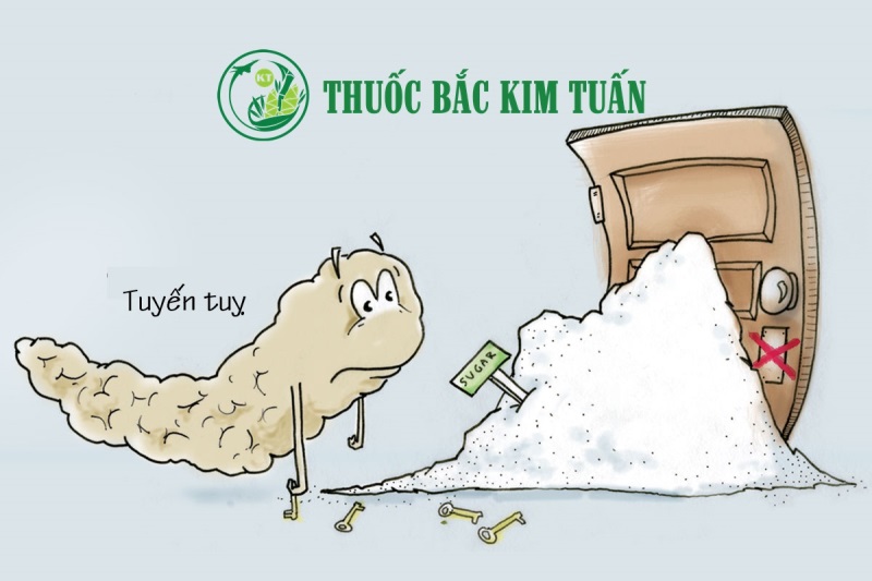 Mối quan hệ của TUYẾN TUỴ và bệnh TIỂU ĐƯỜNG